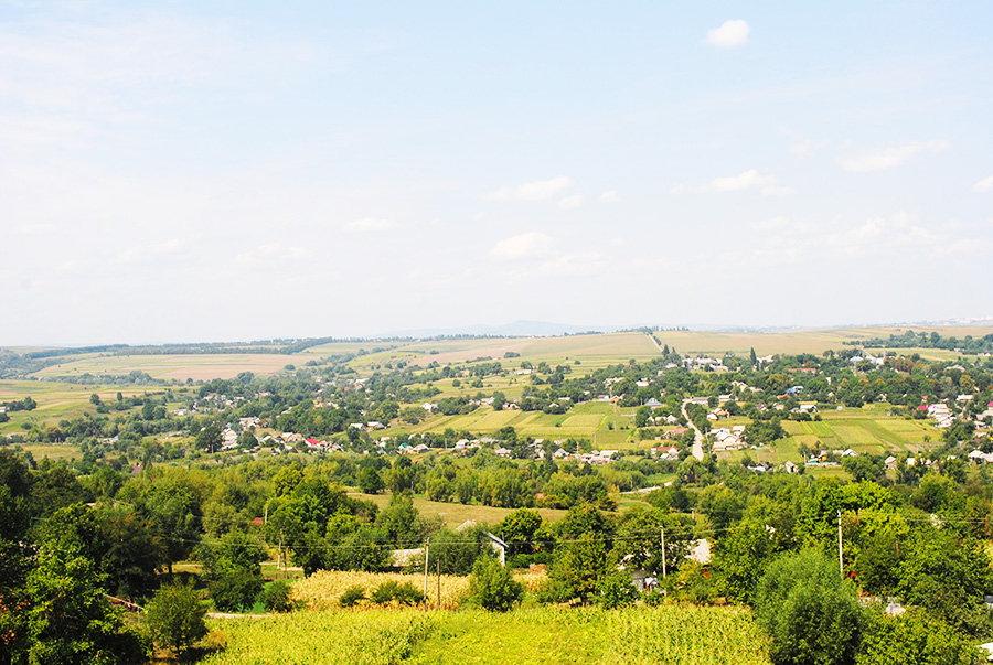 Луковиця